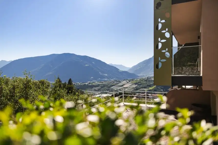 Impression - Schenna Oliven