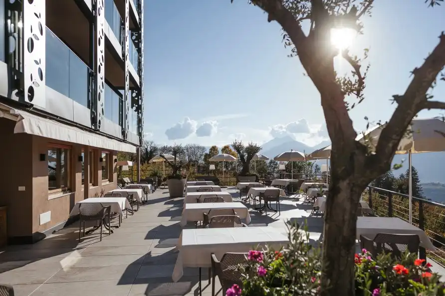 Galerie - Schenna Oliven