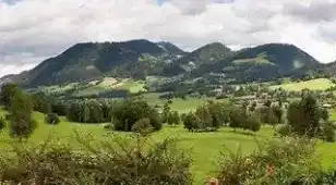 angebotsbild