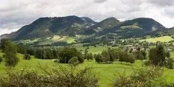 angebotsbild