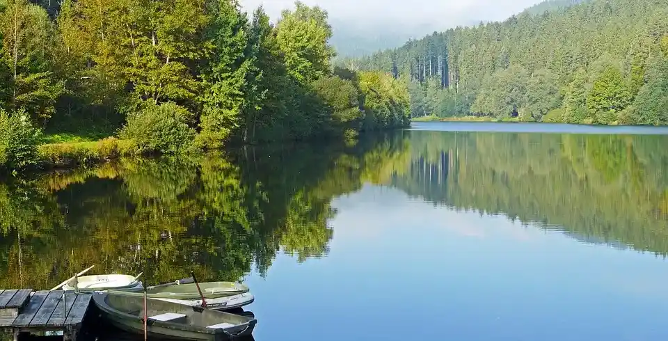 Foto - Schwarzwald Baiersbronn