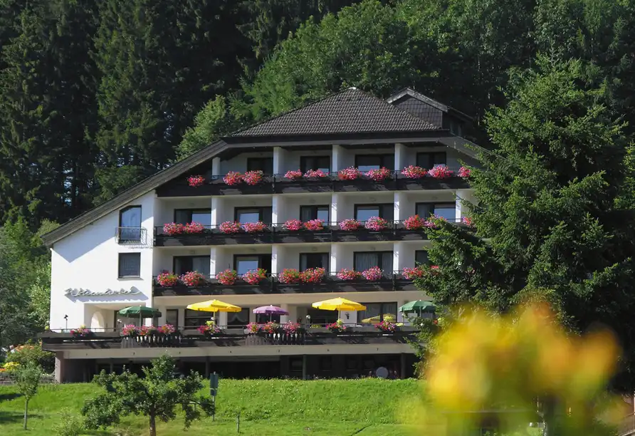 Impression - Schwarzwald Baiersbronn