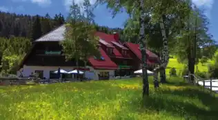 Hotel Backhof-Helmle in Breitnau