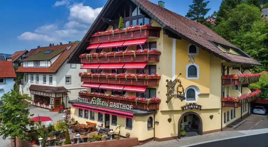 Baiersbronn Schwarzwald - Bild 1