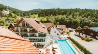 Naturparkhotel Adler Wolfach