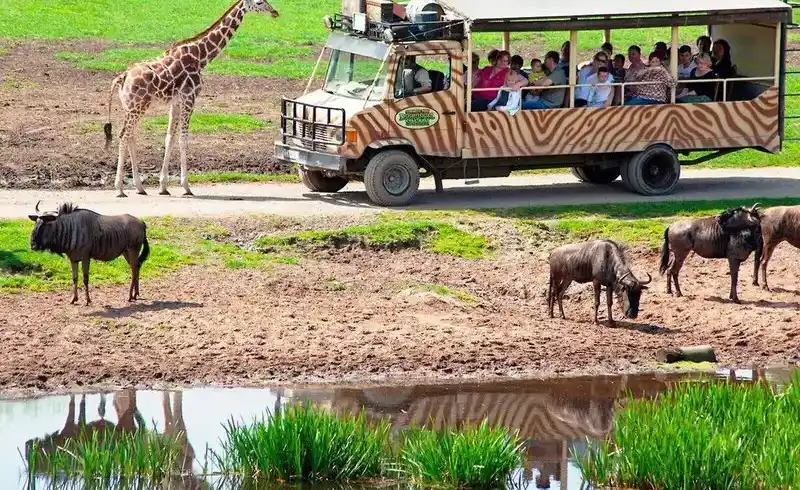 Foto - Serengeti Park