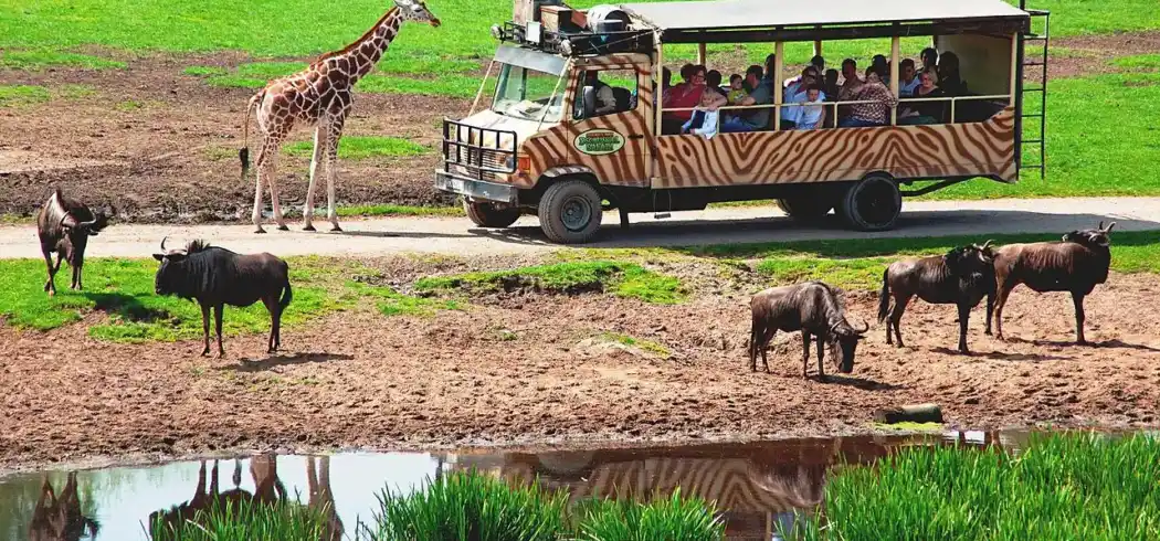 Foto - Serentgeti Park