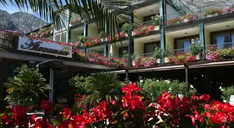 Foto - Silvester Gardasee