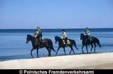 Foto - Silvester Ostsee