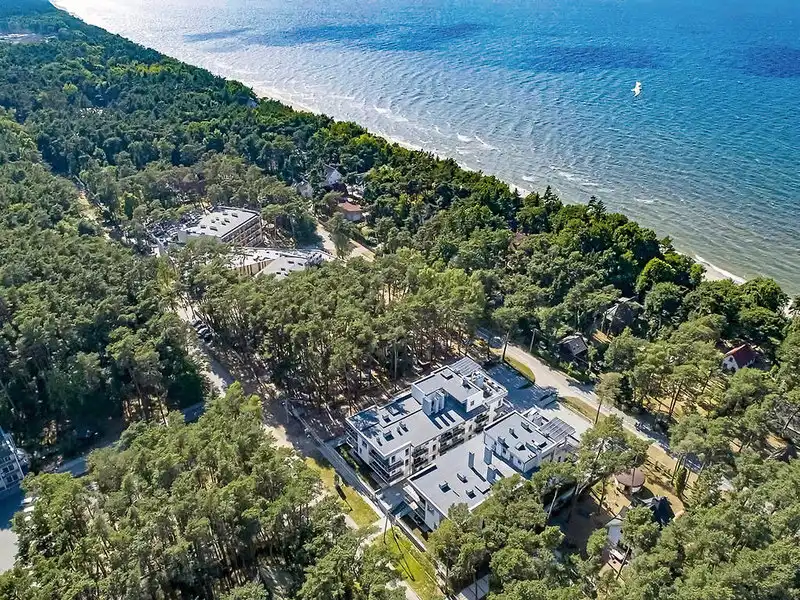 Silvester Polnischen