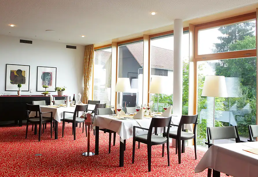 Aufnahme - Silvester im Allgäu im Landhotel Allgäuer Hof in Wolfegg-Alttann