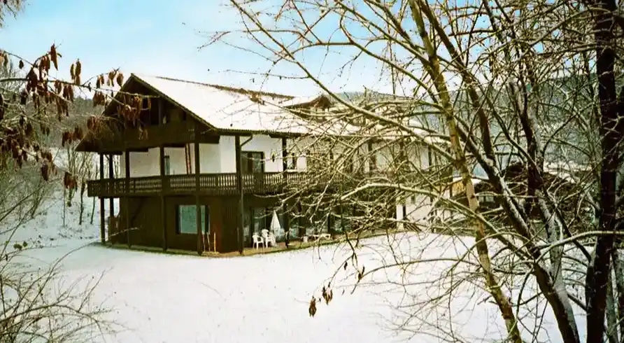 Foto - Silvester in Neukirchen