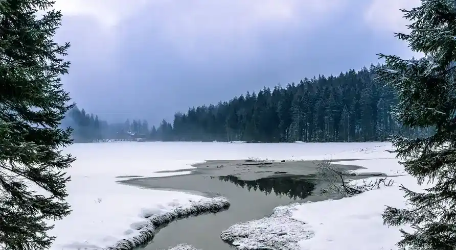 Foto - Silvester im Bayerischer Wald Das Waldkönig Ferienhotel in Bayerisch Eisenstein