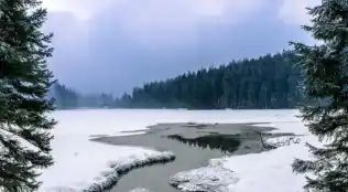 Silvester im Bayerischer Wald im Das Waldkönig Ferienhotel in Bayerisch Eisenstein