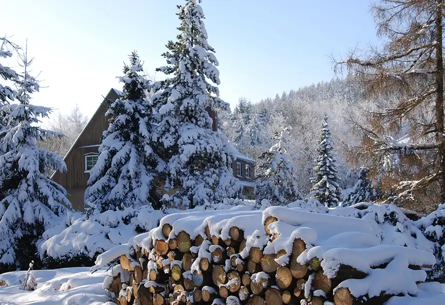 Aufnahme - Silvester Dreiländereck