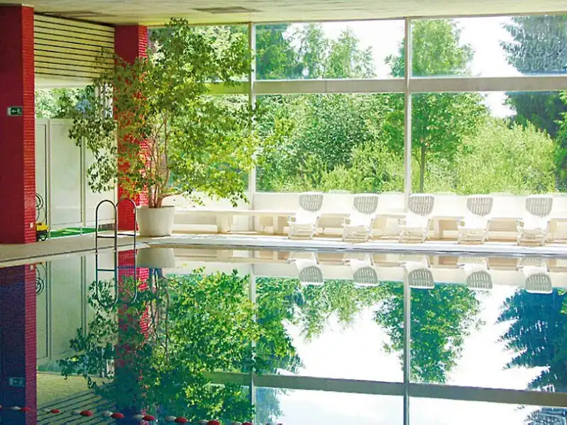 Aufnahme - Silvester Harz