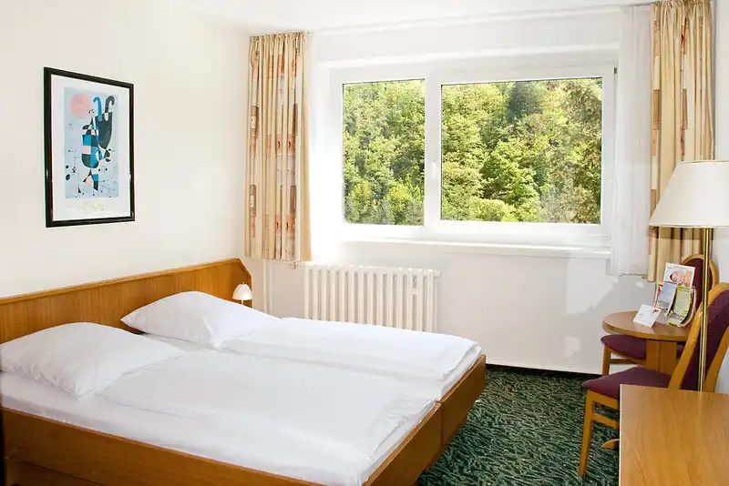 Detail - Silvester Harz