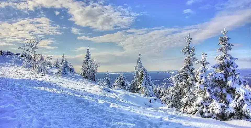 Foto - Silvester Harz