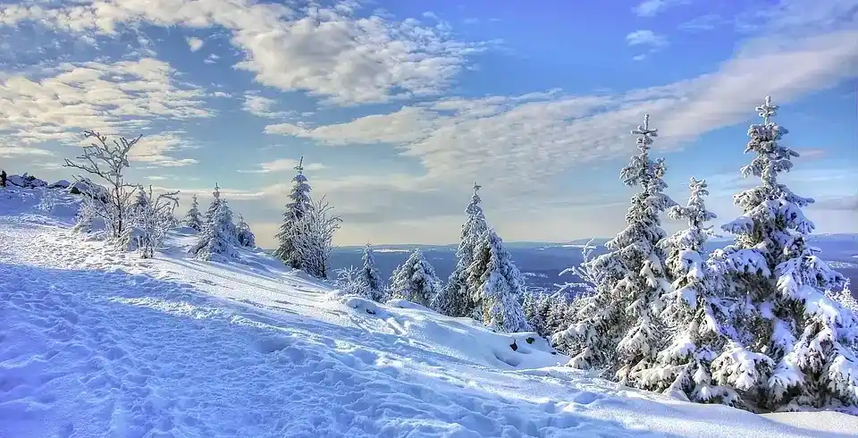 Foto - Harz Silvester