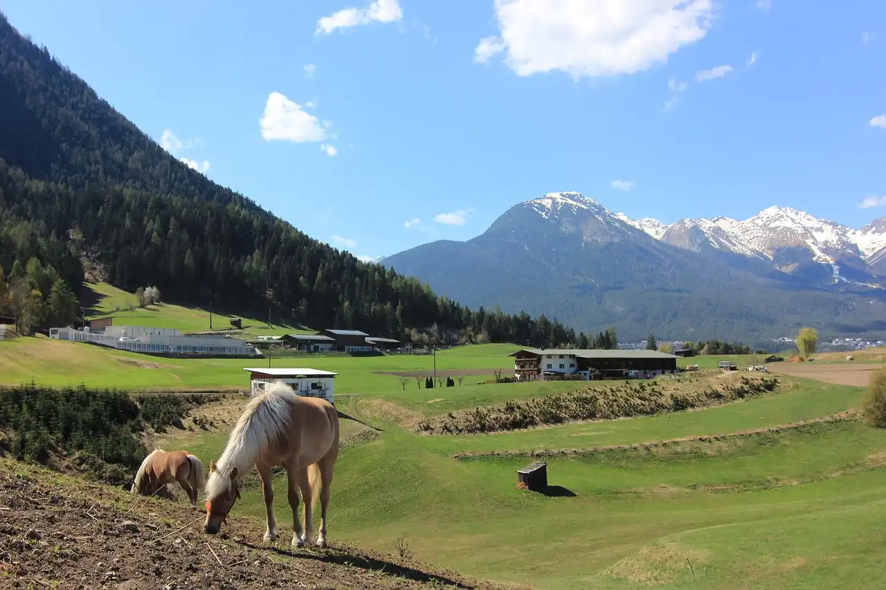 Aufnahme - Silvester in Imst