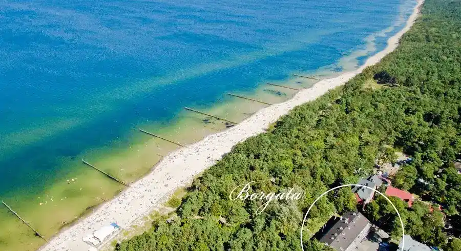 Foto - Silvester Polnische