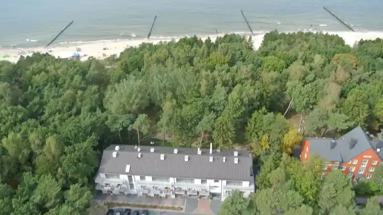 Aufnahme - Silvester Polnische