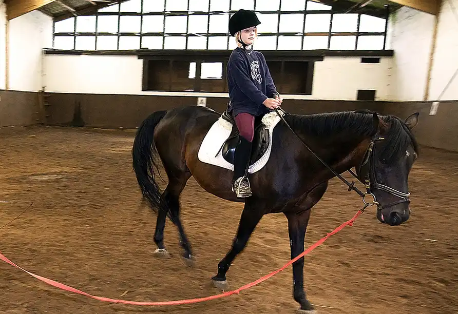 Impression - Familienurlaub auf dem Reiterhof