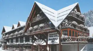 Silvester im Sauerland im Hotel Sauerländer Hof in Willingen 