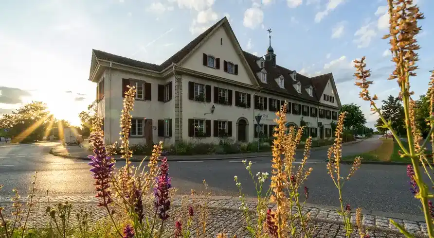 Foto - Silvester im Schwarzwald