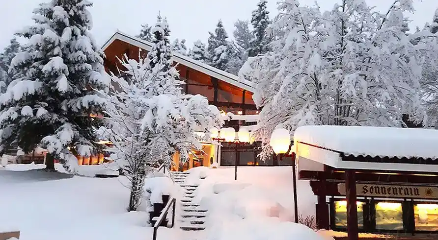 Foto - Silvester Schwarzwald