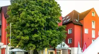 Ysenburger Hof  in Langenselbold