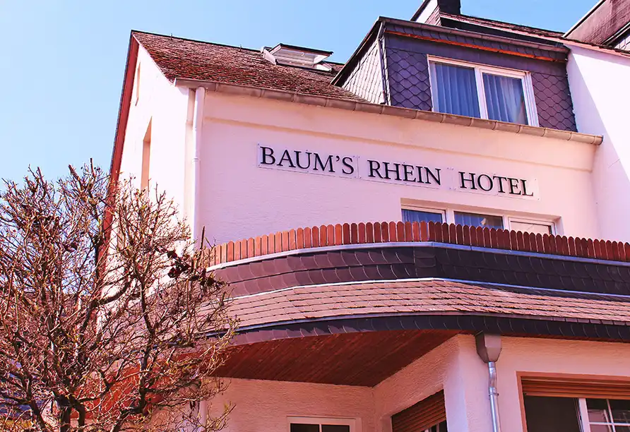 Detail - Silvester Boppard