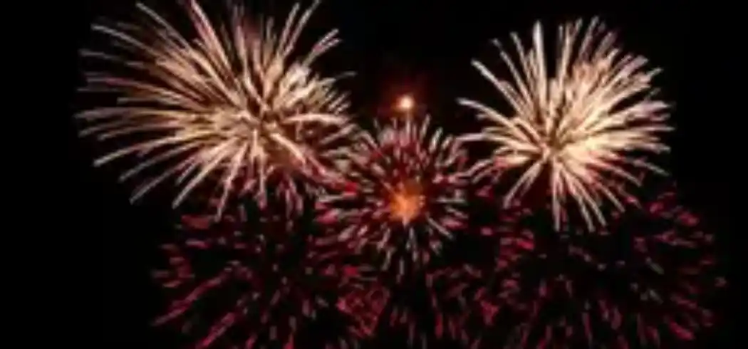 Foto - Silvester Dresden