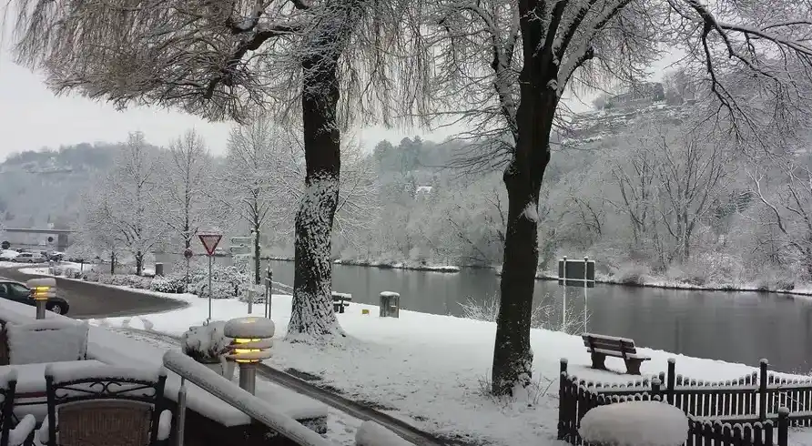 Foto - Silvester Mainspessart