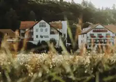 Silvester in Fremdingen