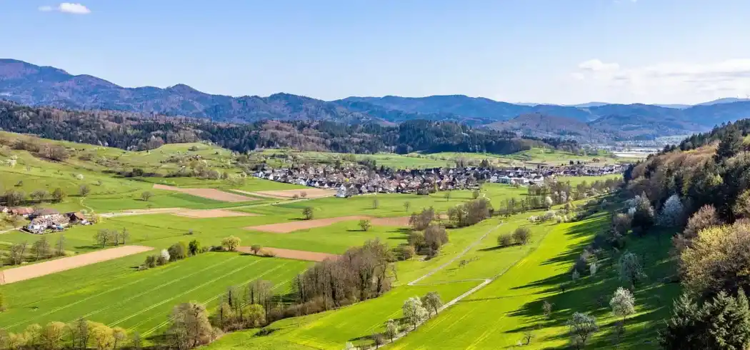 Foto - Traube Lossburg Hotel Restaurant
