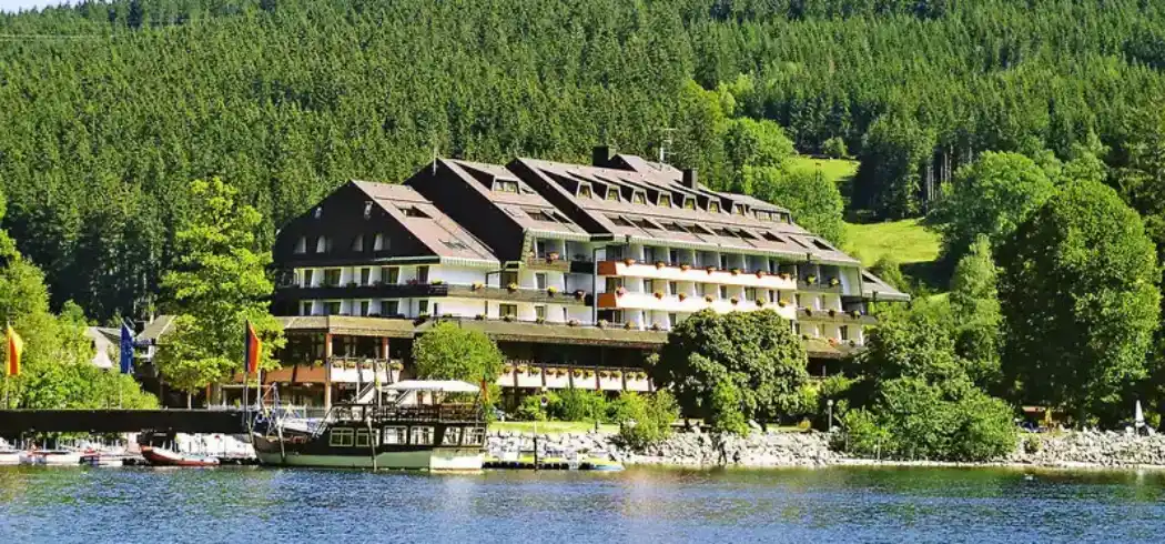 Foto - Silvester Schwarzwald