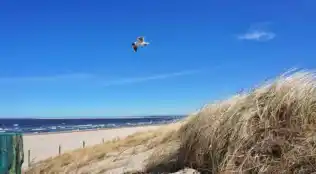 Villa Jupiter in Swinemünde