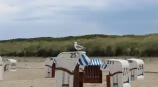 angebotsbild