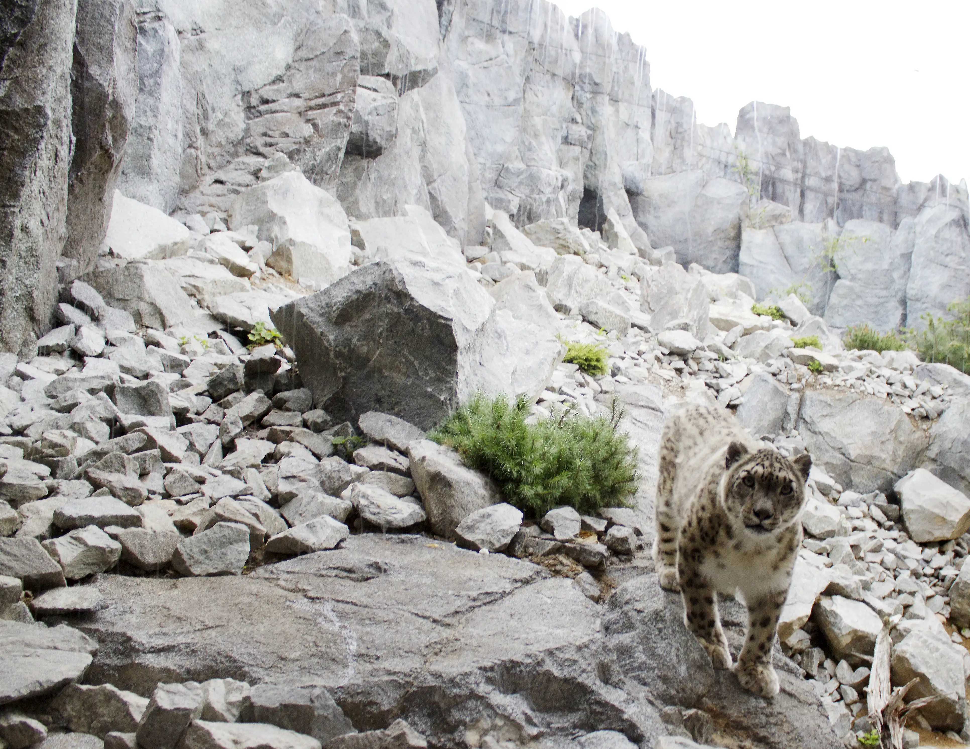 Galerie - Städtereise Leipzig