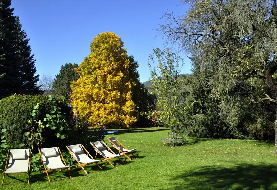 Impression - Steiermark Hotel Brücklwirt in Niklasdor