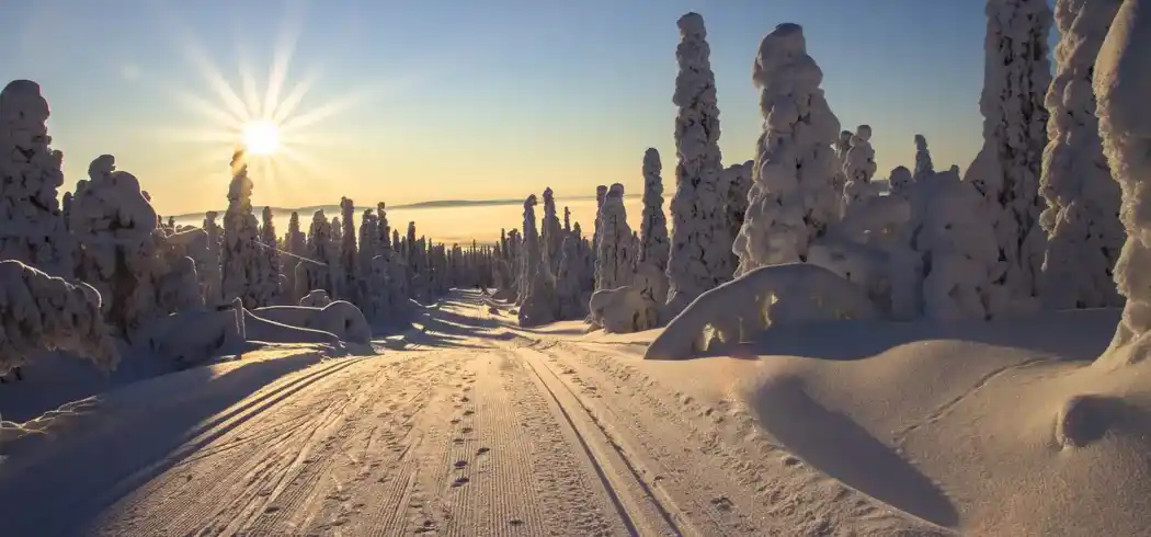 Foto - Winterwochenendreise Lappland