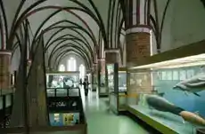 Stralsund Nächte - Bild 3