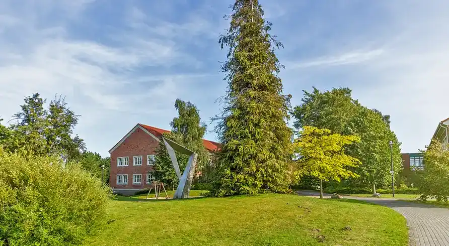Foto - Stralsund Nächte