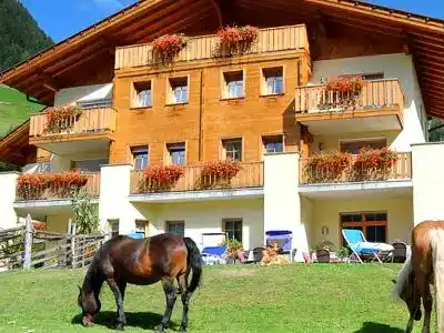 Foto - Südtirol Natur