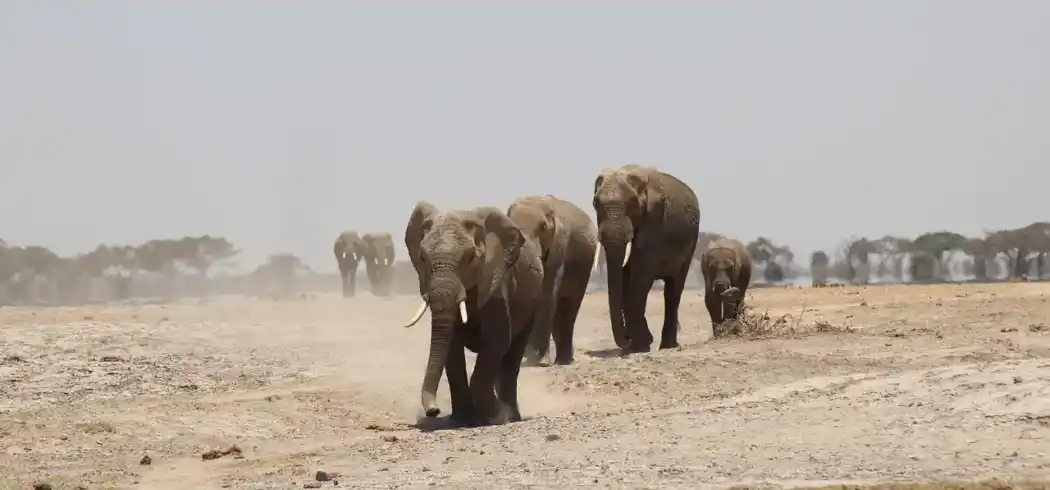 Foto - Tansania und Kenia Rundreise