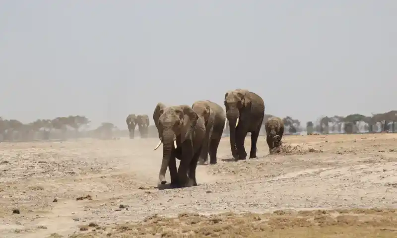 Tansania und Kenia Rundreise mit Baden mit Ausflugspaket