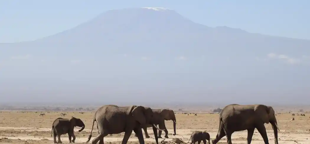 Foto - Tansania und Kenia Rundreise mit Baden