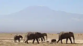 Tansania und Kenia Rundreise mit Baden 