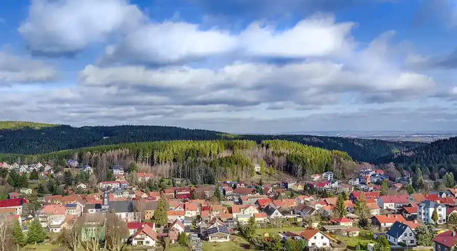 Foto - Thüringer Wald